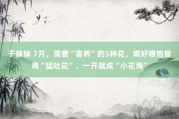 干妹妹 7月，需要“富养”的5种花，喝好喂饱智商“猛吐花”，一开就成“小花海”