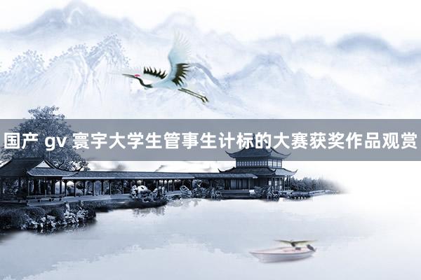 国产 gv 寰宇大学生管事生计标的大赛获奖作品观赏